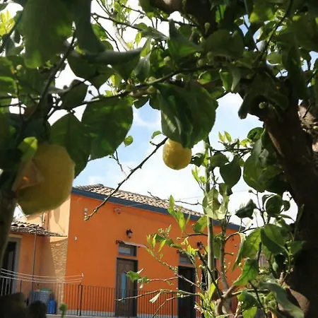 Sicily Etna Scenery * Zafferana Etnea