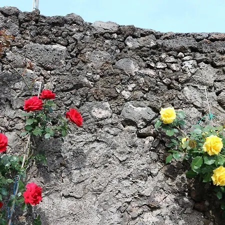 Alojamento de Acomodação e Pequeno-almoço Sicily Etna Scenery *