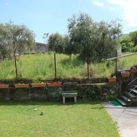 Sicily Etna Scenery * Zafferana Etnea